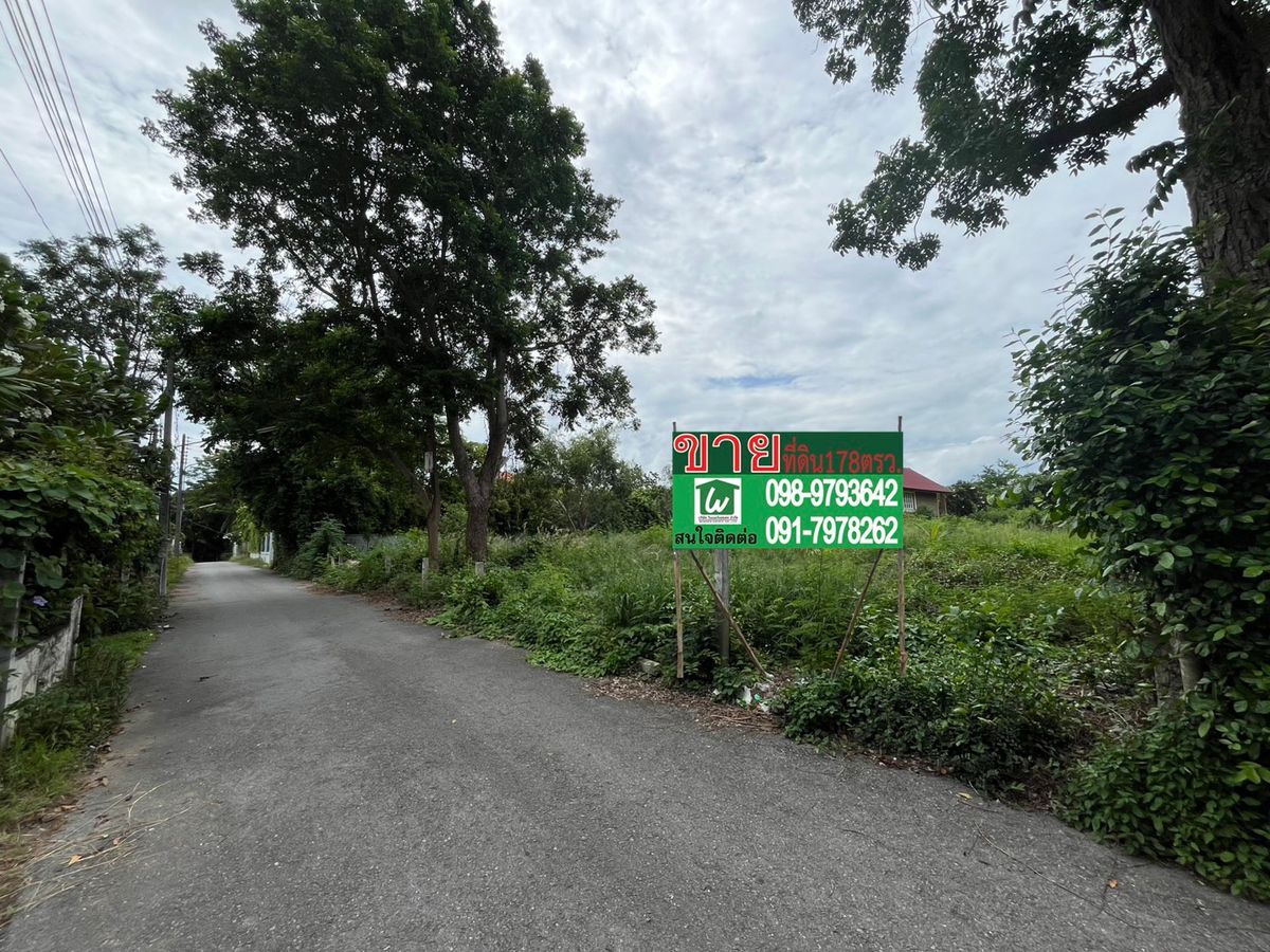 ขายที่ดินชะอำ เพชรบุรี : ขาย ที่ดิน ถมแล้ว 178 ตรว ในซอย ชำอะคอนโดมิเนียม ห่างทะเล200เมตร 