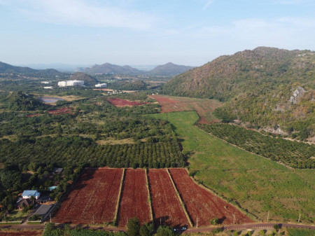ขายที่ดินปากช่อง เขาใหญ่ : ขาย ที่ดิน เขาใหญ่ ต.หนองน้ำแดง อ.ปากช่อง 5 ไร่ แค่เห็นวิว ก็มีความสุขแล้ว
