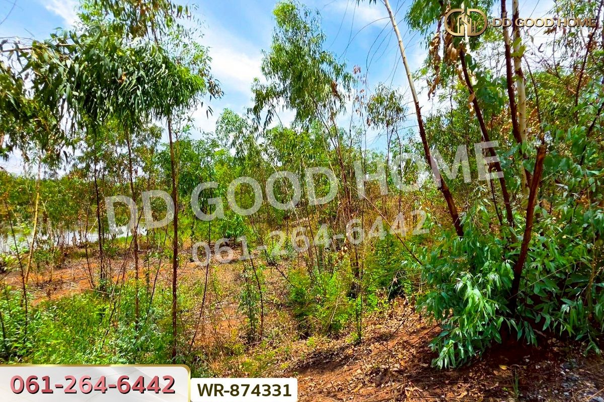 ขายที่ดินหนองบัวลำภู : WR-874331 ที่ดิน 76 ไร่ 174 ตร.ว. เมืองหนองบัวลำภู ใกล้สำนักงานเทศบาลเมืองหนองบัวลำภู