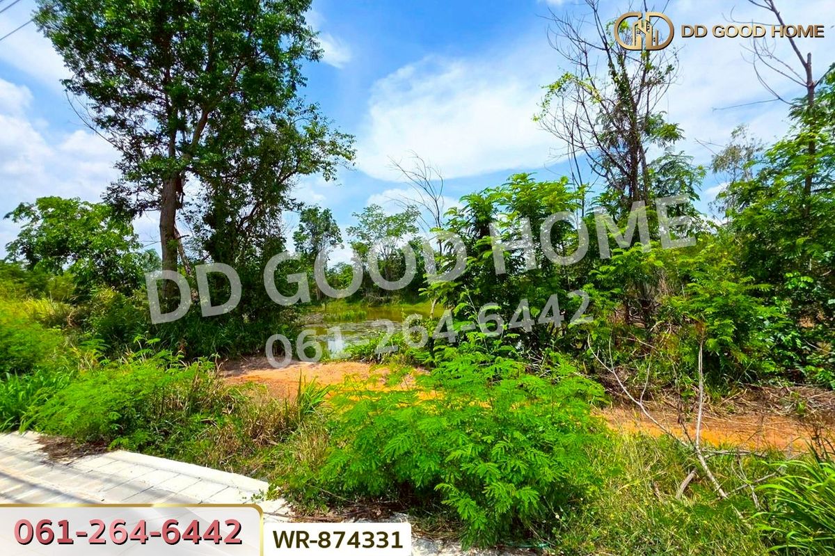 ขายที่ดินหนองบัวลำภู : WR-874331 ที่ดิน 76 ไร่ 174 ตร.ว. เมืองหนองบัวลำภู ใกล้สำนักงานเทศบาลเมืองหนองบัวลำภู