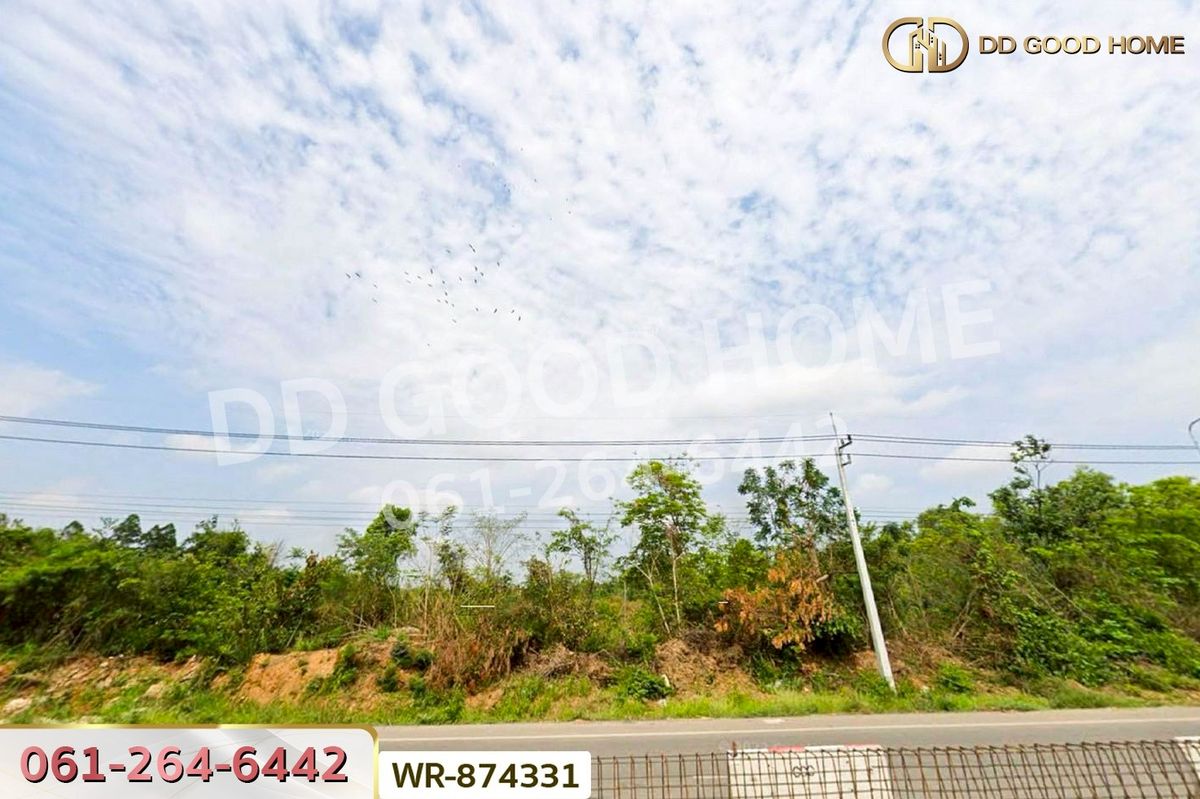 ขายที่ดินหนองบัวลำภู : WR-874331 ที่ดิน 76 ไร่ 174 ตร.ว. เมืองหนองบัวลำภู ใกล้สำนักงานเทศบาลเมืองหนองบัวลำภู
