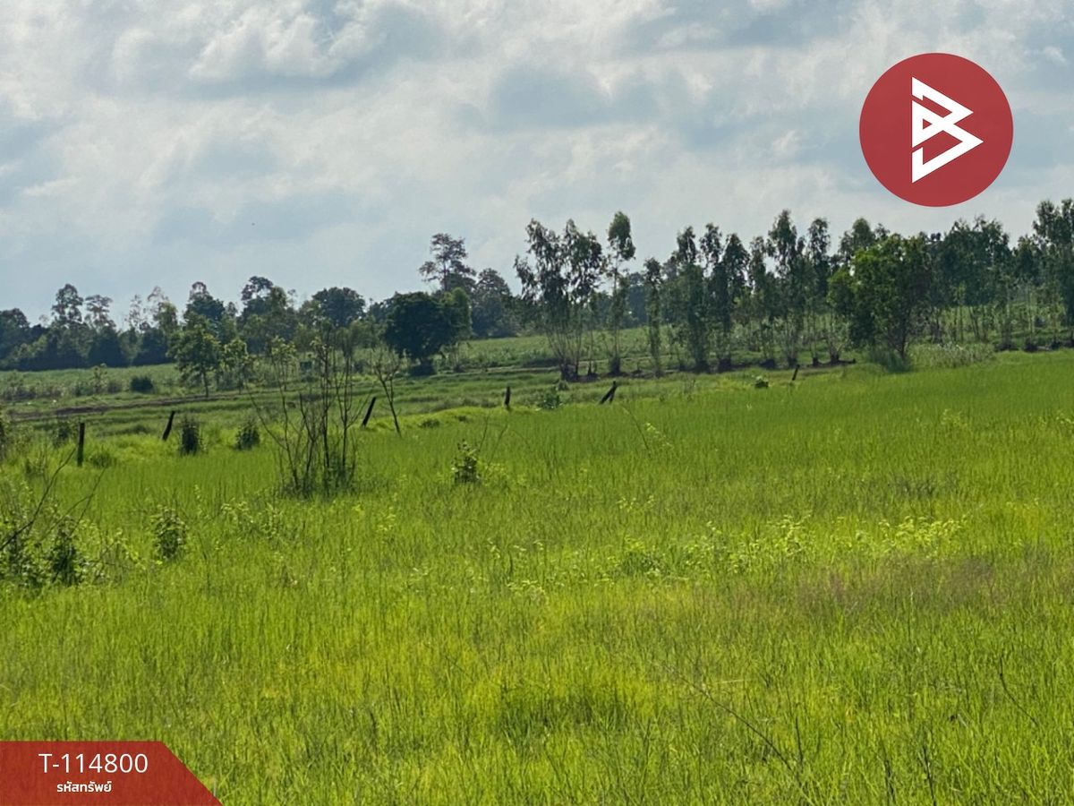 ขายที่ดินขอนแก่น : ขายที่ดิน เนื้อที่ 3 ไร่ 88 ตร.วา บ้านฝาง ขอนแก่น