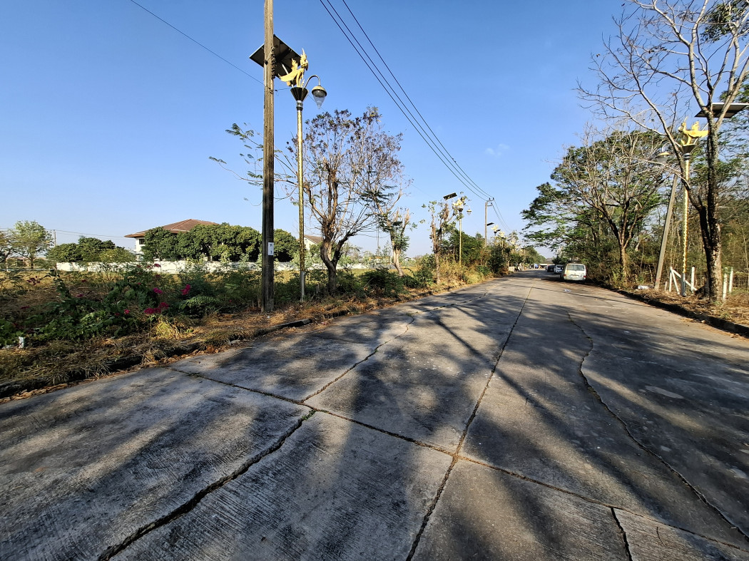 ขายที่ดินสมุทรปราการ สำโรง : ขายถูกที่สุด ที่ดิน ซอยหมู่บ้านกรีนเลค 1 ไร่กว่า ใกล้ถ.บางนา-ตราดแค่ 1.7 กม. DD