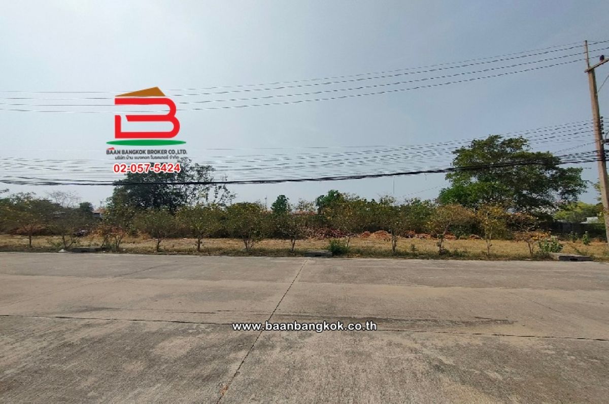 ขายที่ดินปทุมธานี รังสิต ธรรมศาสตร์ : ที่ดินเปล่า หมู่บ้าน สราญธร คลอง 4 เนื้อที่ 560 ตร.ว ใกล้โลตัสคลอง 4 ตำบลบึงยี่โถ อำเภอธัญบุรี จังหวัดปทุมธานี