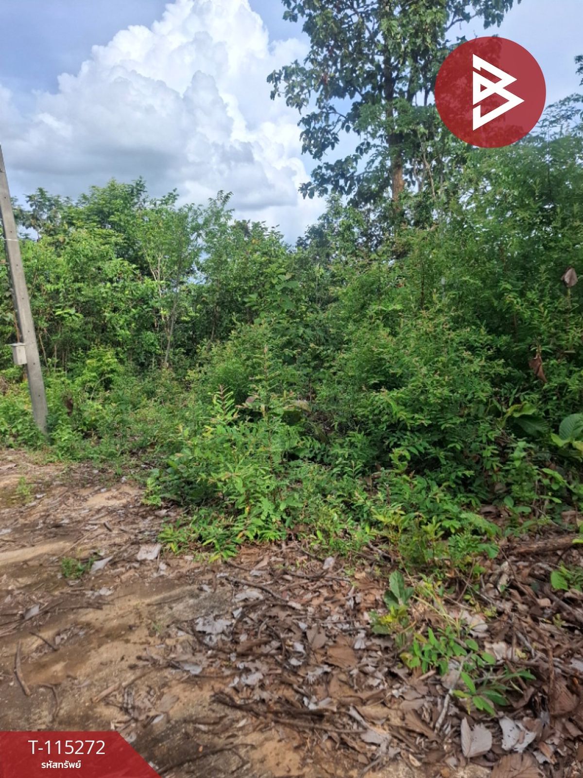 For SaleLandChiang Rai : Land for sale in an area of ​​1 rai of Chiang Rai