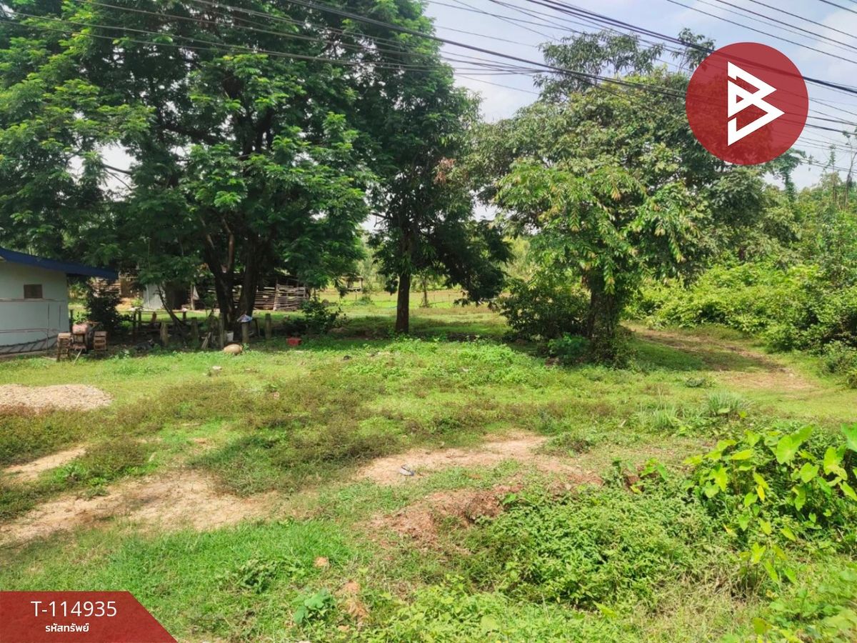 For SaleLandNakhon Phanom : Land for sale in an area of ​​4 rai 2 ngan 89.1 sq. -ard.