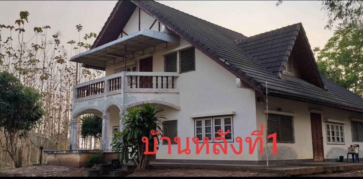 ขายที่ดินเลย : ขายบ้านพร้อมสวนป่าสักทอง วังสะพุง จ.เลย