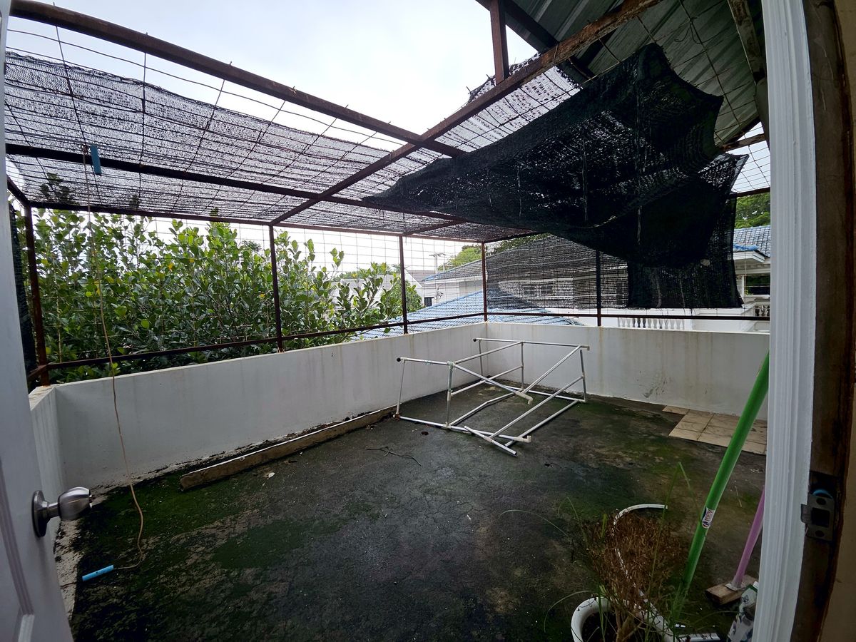 ขายอาคารพาณิชย์ปทุมธานี รังสิต ธรรมศาสตร์ : ลงทุนวันนี้! รับค่าเช่าทันที ทำเลค้าขาย ริมถนนหลัก ใกล้มหาลัย-ตลาด-รถไฟฟ้า, ตึกแถว/อาคารพาณิชย์ 2 ชั้น, 20.6 ตร.วา, ริมถนนเอกทักษิณ หมู่บ้านเมืองเอก ทำเลค้าขาย, ใกล้มหาวิทยาลัยรังสิต, ใกล้รถไฟฟ้าสายสีแดง สถานีหลักหก 