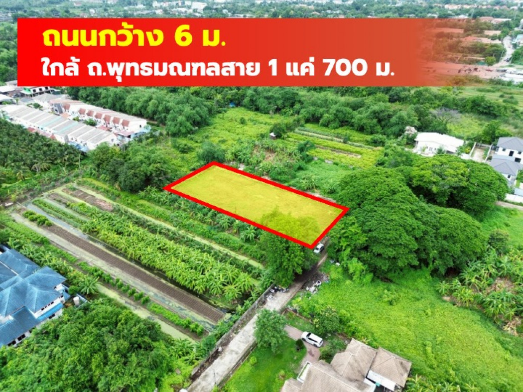 ขายที่ดินปิ่นเกล้า จรัญสนิทวงศ์ : ขาย ที่ดิน 403 ตรว ซอยบางระมาด15 ใกล้ถ.พุทธมณฑลสาย 1 แค่ 700 ม.. CC