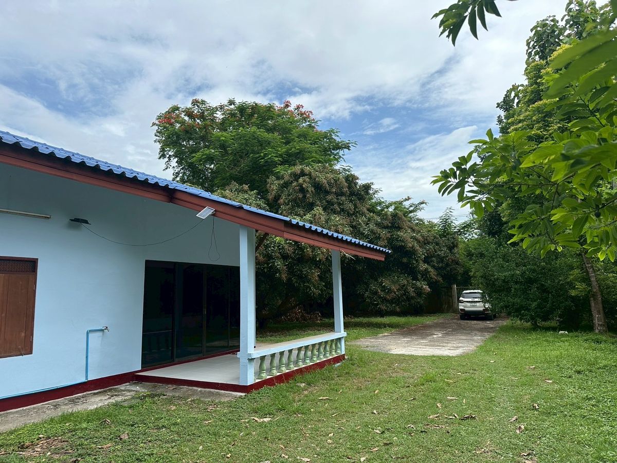 บ้านเชียงใหม่ : 🏡 บ้านพร้อมที่ดินแปลงใหญ่ 197 ตร.วา ใกล้เมือง บรรยากาศธรรมชาติ 🌳