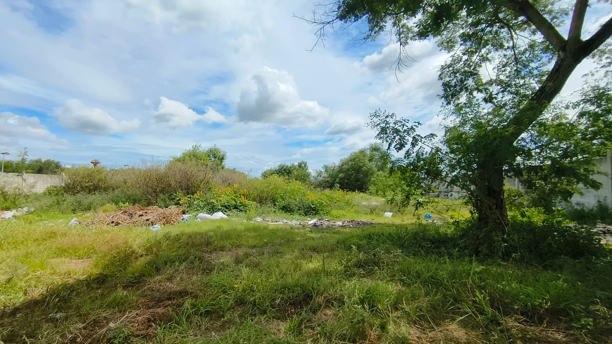 ขายที่ดินปทุมธานี รังสิต ธรรมศาสตร์ : ขายด่วน ที่ดินติดถนนสาธารณะ คสล.หน้ากว้างมาก