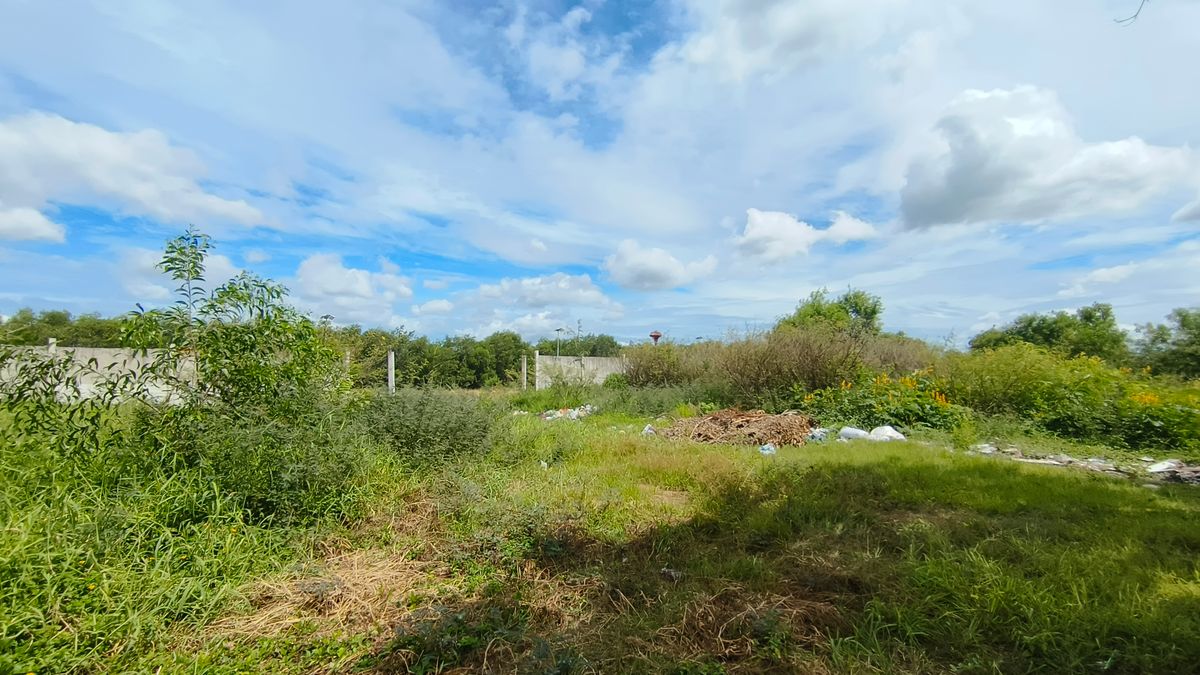 ขายที่ดินปทุมธานี รังสิต ธรรมศาสตร์ : ขายด่วน ที่ดินติดถนนสาธารณะ คสล.หน้ากว้างมาก