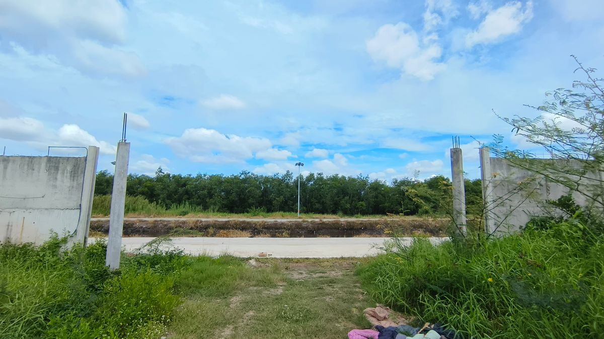 ขายที่ดินปทุมธานี รังสิต ธรรมศาสตร์ : ขายด่วน ที่ดินติดถนนสาธารณะ คสล.หน้ากว้างมาก