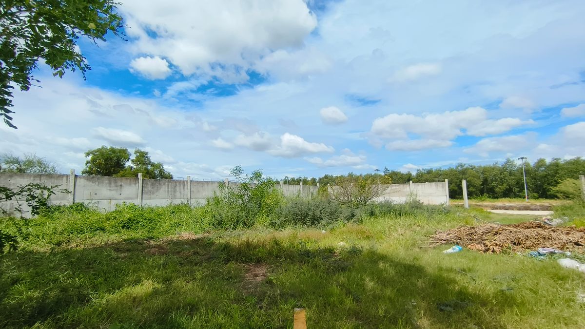 ขายที่ดินปทุมธานี รังสิต ธรรมศาสตร์ : ขายด่วน ที่ดินติดถนนสาธารณะ คสล.หน้ากว้างมาก