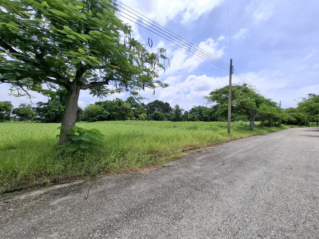 ขายที่ดินสมุทรปราการ สำโรง : ขาย ที่ดิน สนามกอล์ฟเลควูด 422 ตรว เงียบสงบ ปลอดภัย ใกล้ถ.บางนา-ตราดแค่ 4.4 กม. DD