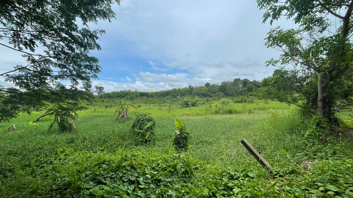 ขายที่ดินอุตรดิตถ์ : ขายที่ดินแปลงใหญ่ 60 ไร่ 2 งาน 26 ตร.ว. ติดถนนใหญ่ ต.ท่าเสา อ.เมือง จ.อุตรดิตถ์