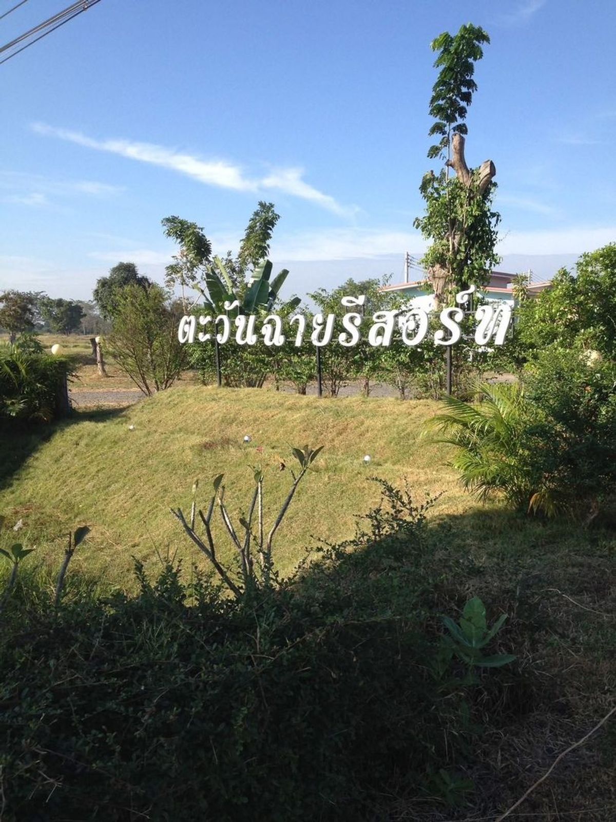 ขายกิจการโรงแรม & กิจการอพาร์ตเมนต์โคราช นครราชสีมา : ขายตะวันฉายรีสอร์ท ทำเลทอง ในเมืองโคราช อำเภอสีดา จังหวัดนครราชสีมา