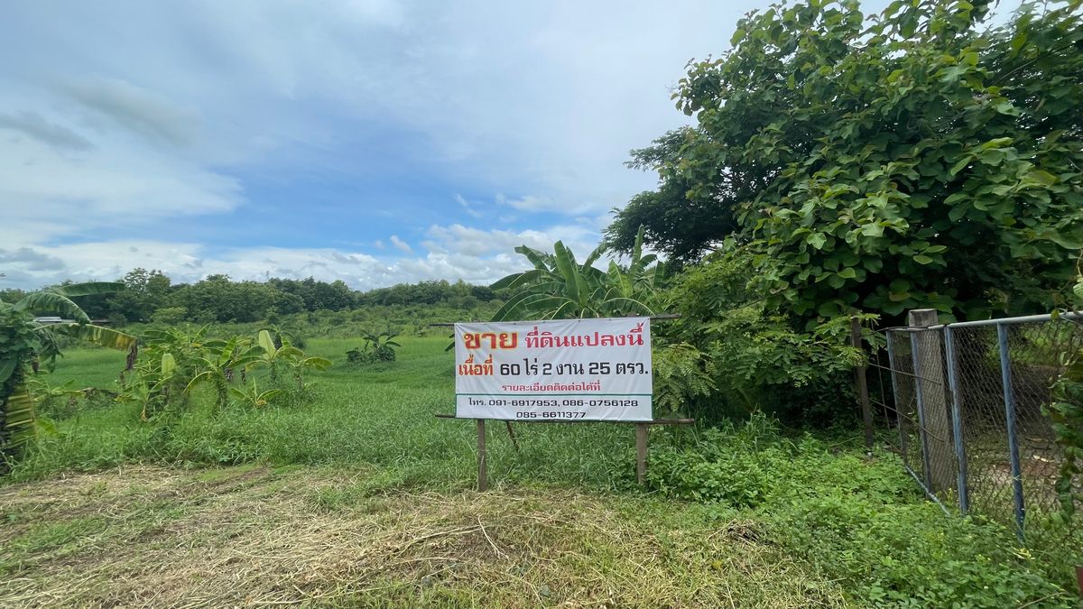 ขายที่ดินอุตรดิตถ์ : ขายที่ดินแปลงใหญ่ 60 ไร่ 2 งาน 26 ตร.ว. ติดถนนใหญ่ ต.ท่าเสา อ.เมือง จ.อุตรดิตถ์