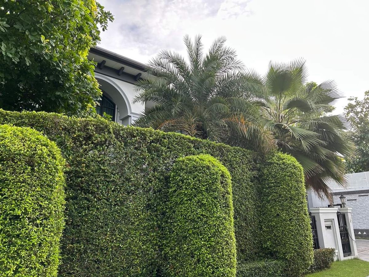 ขายบ้านปิ่นเกล้า จรัญสนิทวงศ์ : 🌟The Grand ปิ่นเกล้า โซน Alpina บ้านขนาดใหญ่พิเศษ! ที่ดิน 112.2 ตร.ว. บิ้วอินครบ ใหม่แทบไม่เคยอยู่🌟