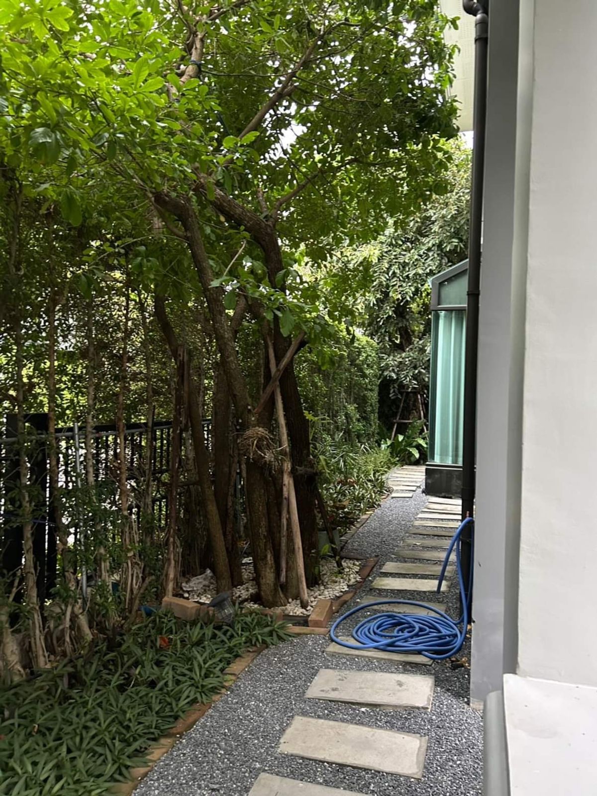 ขายบ้านปิ่นเกล้า จรัญสนิทวงศ์ : 🌟The Grand ปิ่นเกล้า โซน Alpina บ้านขนาดใหญ่พิเศษ! ที่ดิน 112.2 ตร.ว. บิ้วอินครบ ใหม่แทบไม่เคยอยู่🌟