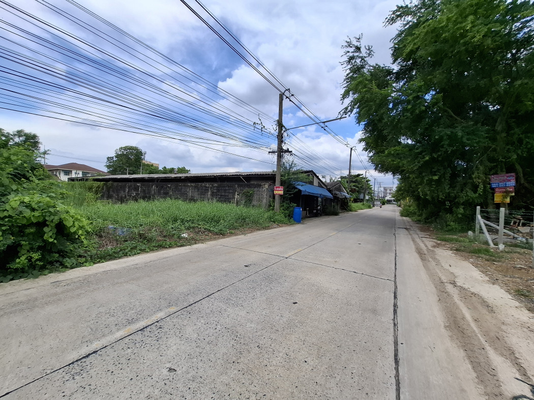 ขายที่ดินปทุมธานี รังสิต ธรรมศาสตร์ : ขาย ที่ดิน 200 ตรว ซอยลำลูกก 43 ถนนกว้าง 6 เมตร ใกล้ถนนลำลูกกาแค่ 210 ม. DD