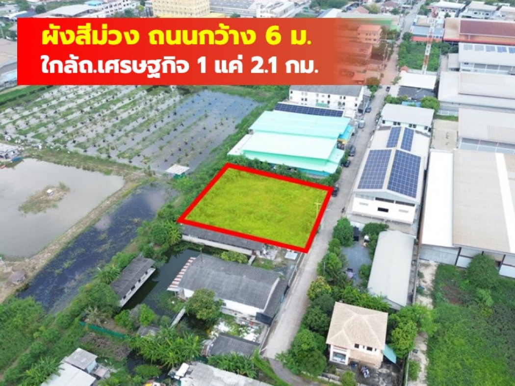 ขายที่ดินมหาชัย สมุทรสาคร : ขาย ที่ดิน ซ.สวนหลวง22 กระทุ่มแบน 384 ตรว ใกล้ ถ.เศรษฐกิจ 1 แค่ 2.1 กม. CC