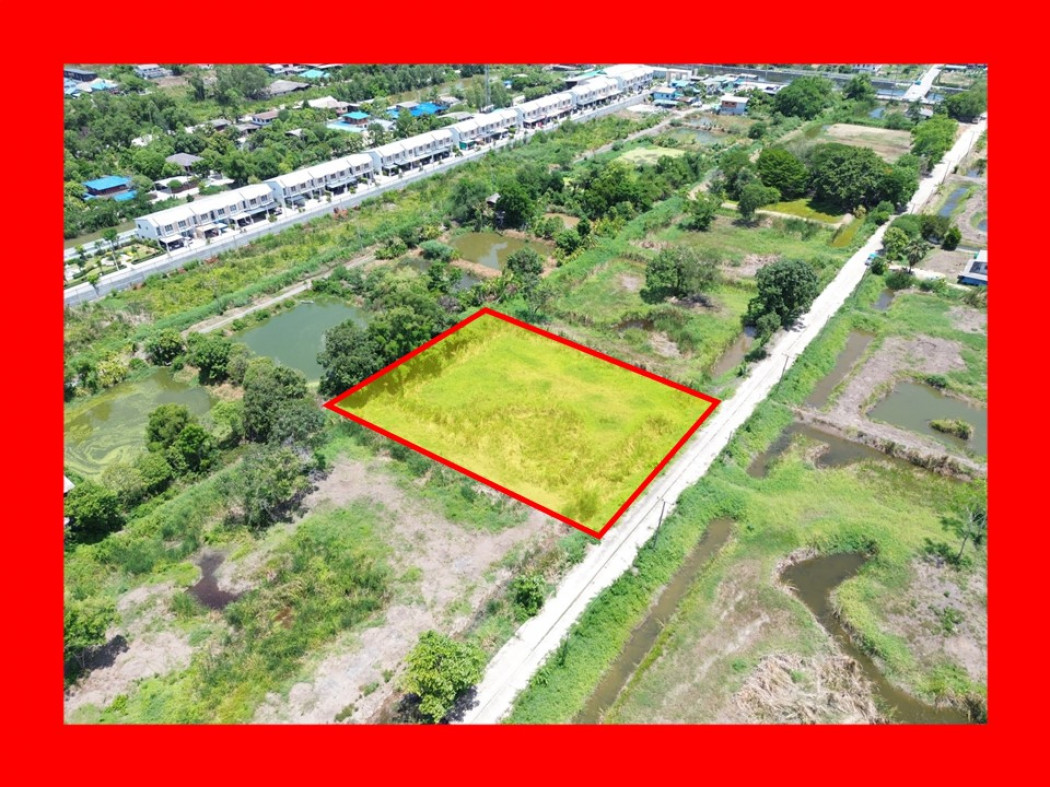 ขายที่ดินปทุมธานี รังสิต ธรรมศาสตร์ : ขายถูกมาก ที่ดิน ซอยบงกช 83 ขนาด 800 ตรว ใกล้ถ.รังสิต-นครนายกแค่ 3.4 กม. DD
