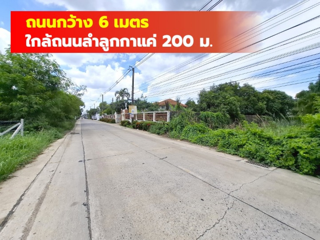 ขายที่ดินปทุมธานี รังสิต ธรรมศาสตร์ : ขาย ที่ดิน 200 ตรว ซอยลำลูกก 43 ใกล้ถนนลำลูกกาแค่ 200 ม. DD