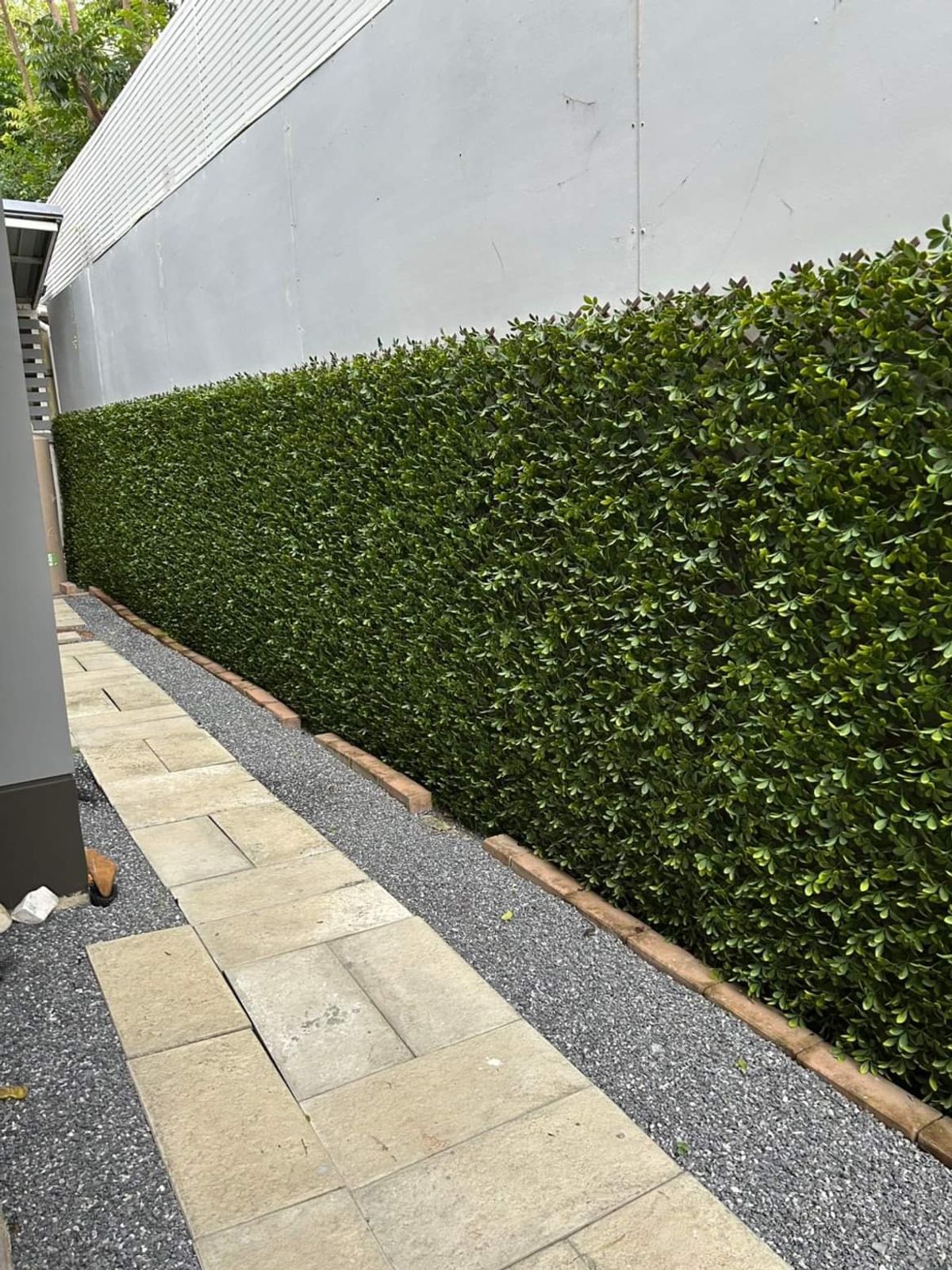 ขายบ้านปิ่นเกล้า จรัญสนิทวงศ์ : 🌟The Grand ปิ่นเกล้า โซน Alpina บ้านขนาดใหญ่พิเศษ! ที่ดิน 112.2 ตร.ว. บิ้วอินครบ ใหม่แทบไม่เคยอยู่🌟