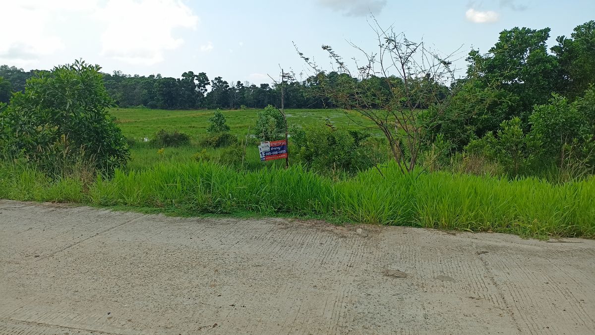 ขายที่ดินจันทบุรี : ขายที่ดินริมคลองภักดีรำไพ 4 ไร่ 1 งาน 74.5 ตรว.