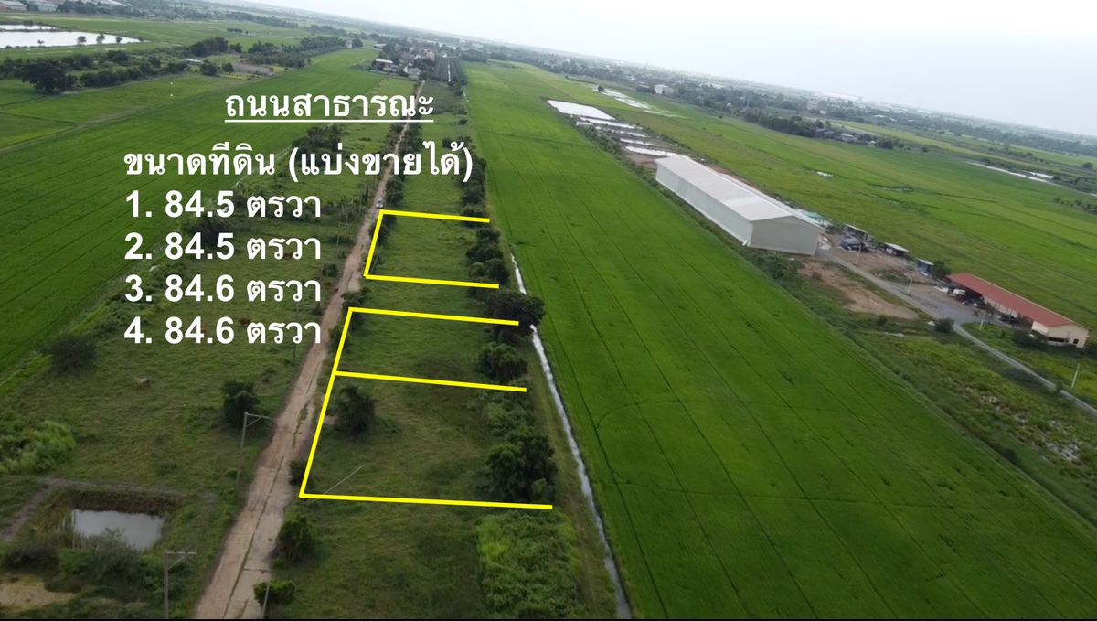 ขายที่ดินปทุมธานี รังสิต ธรรมศาสตร์ : ที่ดินแปลงเล็ก คลอง 16 ราคาถูก ใกล้กรุงเทพฯ เหมาะปลูกบ้านสวน