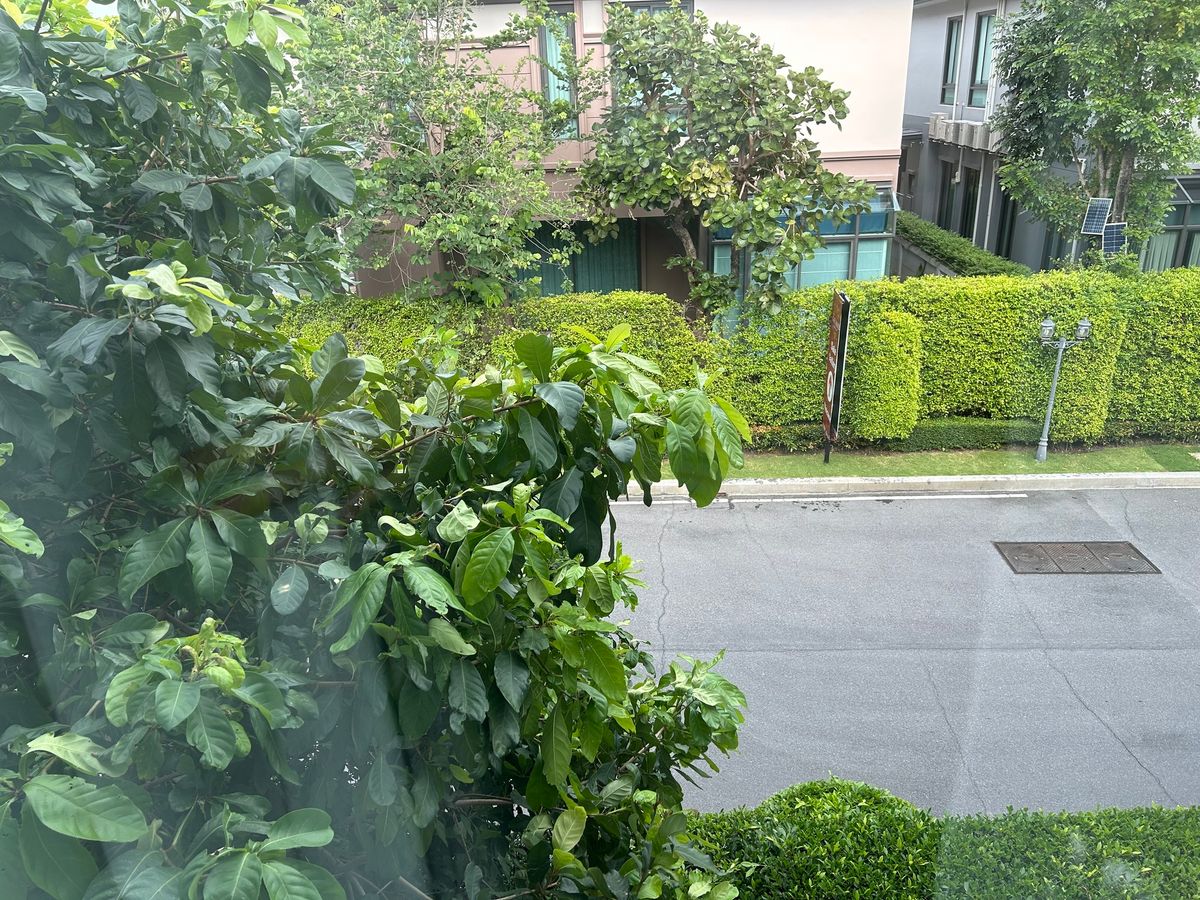 ขายบ้านปิ่นเกล้า จรัญสนิทวงศ์ : 🌟The Grand ปิ่นเกล้า โซน Alpina บ้านขนาดใหญ่พิเศษ! ที่ดิน 112.2 ตร.ว. บิ้วอินครบ ใหม่แทบไม่เคยอยู่🌟