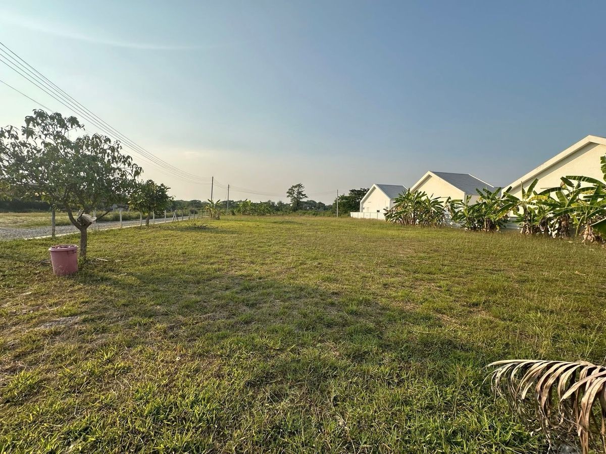 ขายที่ดินเชียงใหม่ : ขายด่วน ที่ดินแปลงสวยถมแล้ว