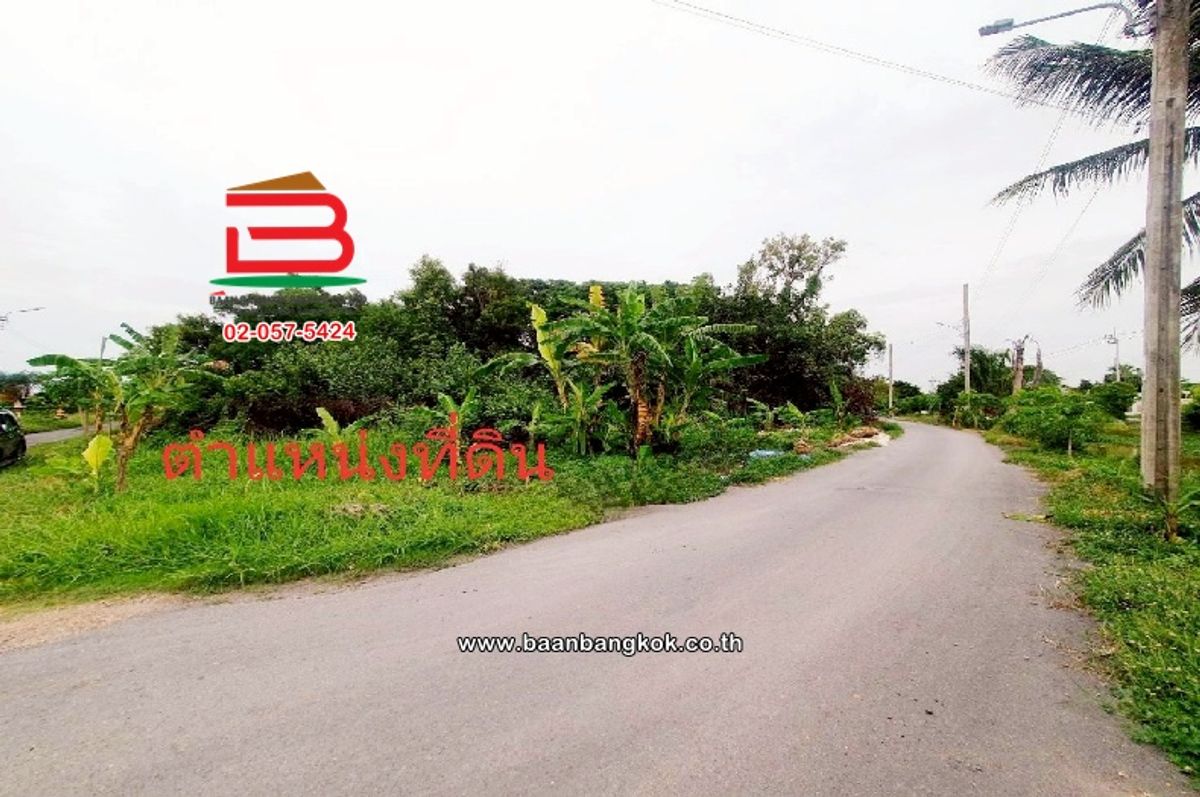 ขายที่ดินมีนบุรี-ร่มเกล้า : ที่ดินเปล่า ติดซอยสมหวัง เนื้อที่ 357 ตร.ว แขวงเจียระดับ เขตหนองจอก(เจียระดับ) กรุงเทพมหานคร