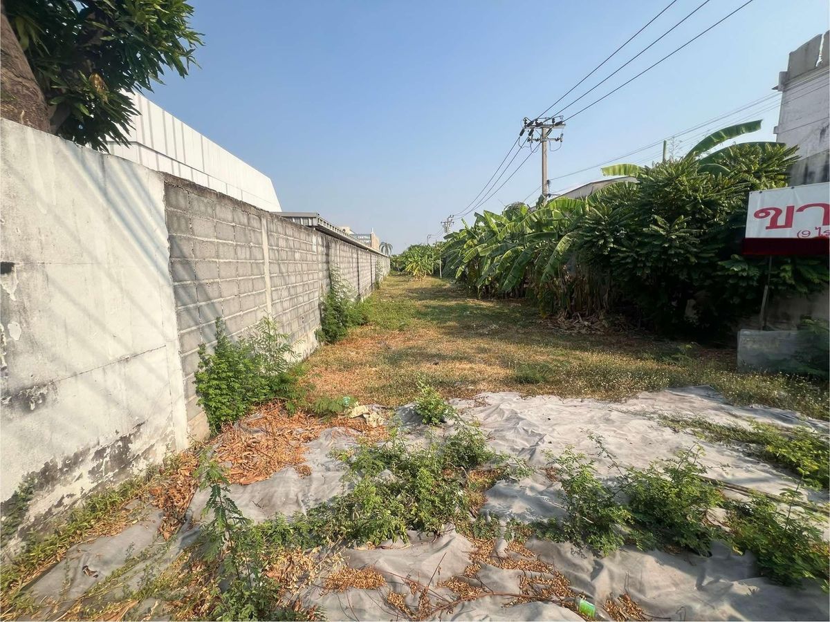 ขายที่ดินสมุทรปราการ สำโรง : ที่ดิน 9 ไร่ ติดถนนกิ่งแก้ว / (ขาย),  land 9 rai next to King Kaew Road / (FOR SALE) AIM015