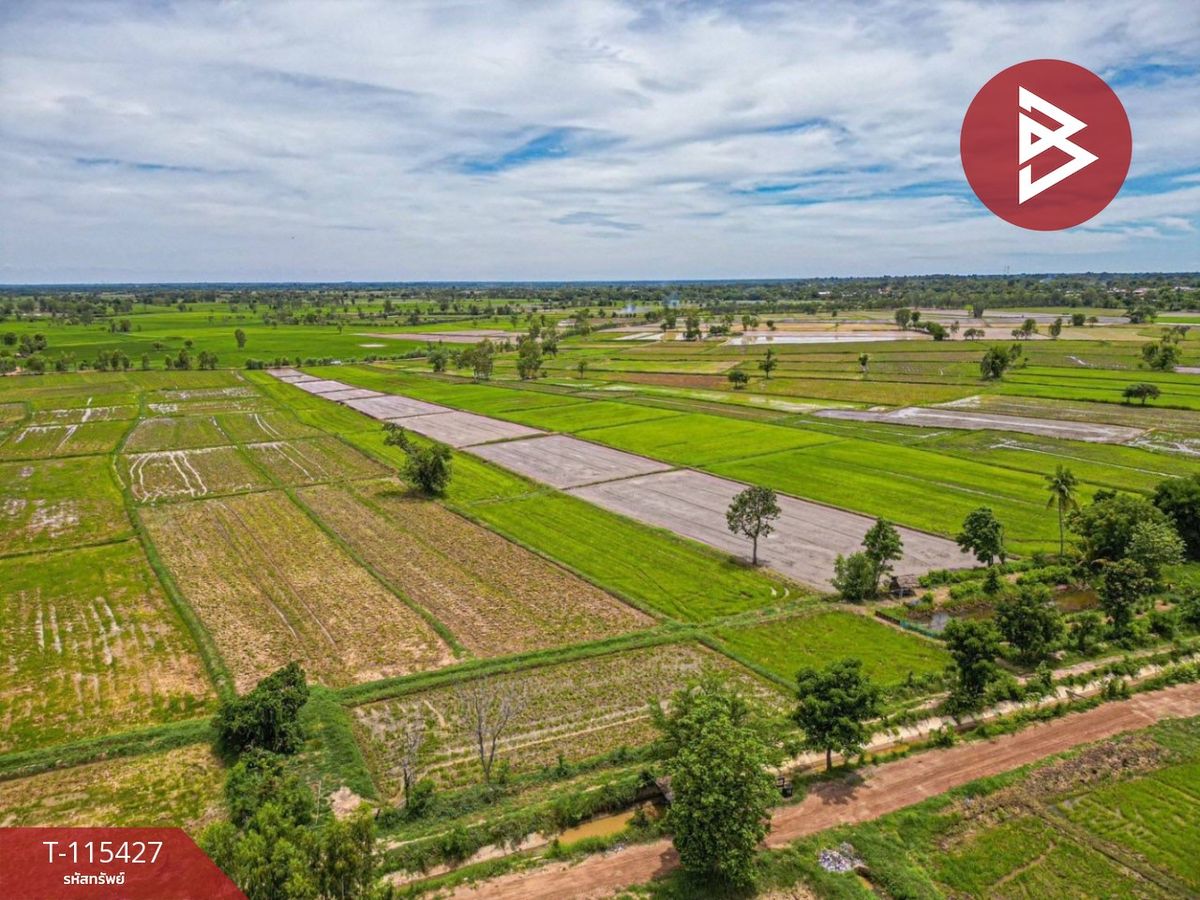 For SaleLandKalasin : Land for sale in an area of ​​2 rai 2 ngan 45 sq.wah, Kalasin
