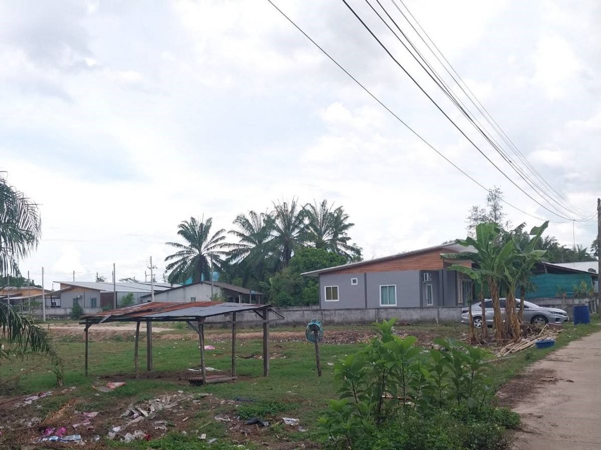 ขายที่ดินกระบี่ : BG 7545 : ที่ดินว่างเปล่า