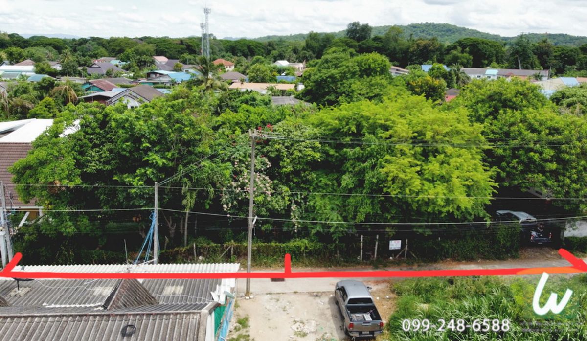 For SaleLandPak Chong KhaoYai : Pak Chong Land for sale, Nakhon Ratchasima 96 and 100 Sq.