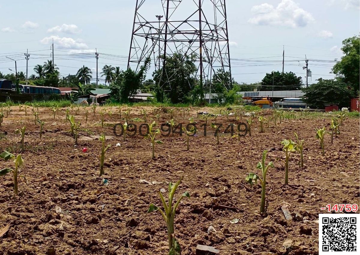 For SaleLandPinklao, Charansanitwong : 1 rai of land for sale on Phran Nok-Kanchana Road