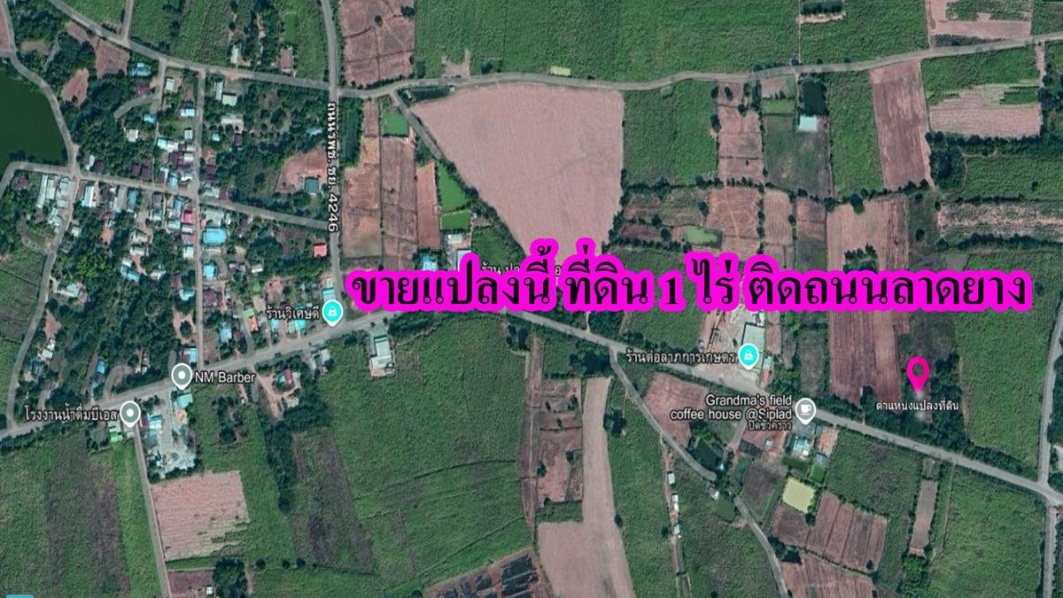 ขายที่ดินชัยภูมิ : ที่ดิน 1 ไร่ แต่ไอเดียใหญ่เกินเบอร์!
