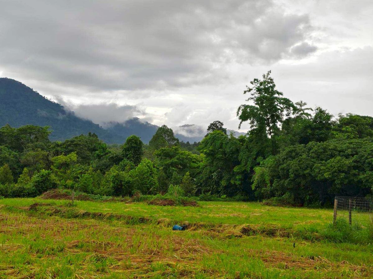 ขายที่ดินจันทบุรี : ขายที่ดินวิวเขา สายหมอก บรรยากาศดี ลมเย็นอากาศดี