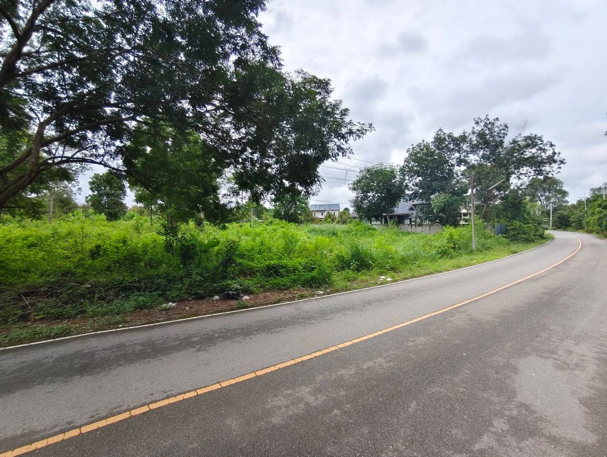 ขายที่ดินจันทบุรี : ขายที่ดินสวย ย่านคลองทราย อ.ท่าช้าง จันทบุรี  ใกล้ถนนสุขุมวิท