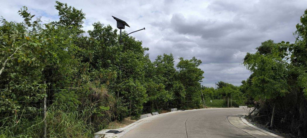 ขายที่ดินปทุมธานี รังสิต ธรรมศาสตร์ : ขาย ที่ดิน ปทุมธานี-สายใน ถนน 307 เนื้อที่ 19 ไร่ 2 งาน 83.6 ตรว