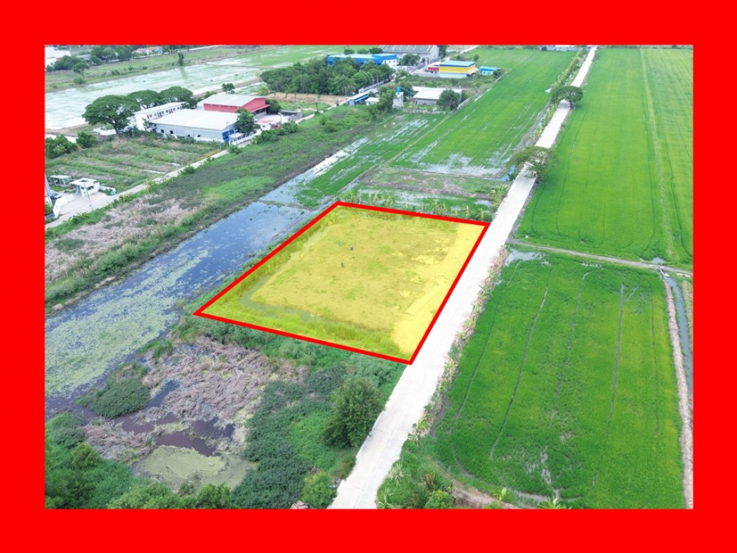 ขายที่ดินปทุมธานี รังสิต ธรรมศาสตร์ : ขาย ที่ดิน ผังสีชมพู ซ.คลองสี่ตะวันออก 19 ขนาด 2 ไร่  ใกล้ถ.คลองหลวง 2.4 กม. DD