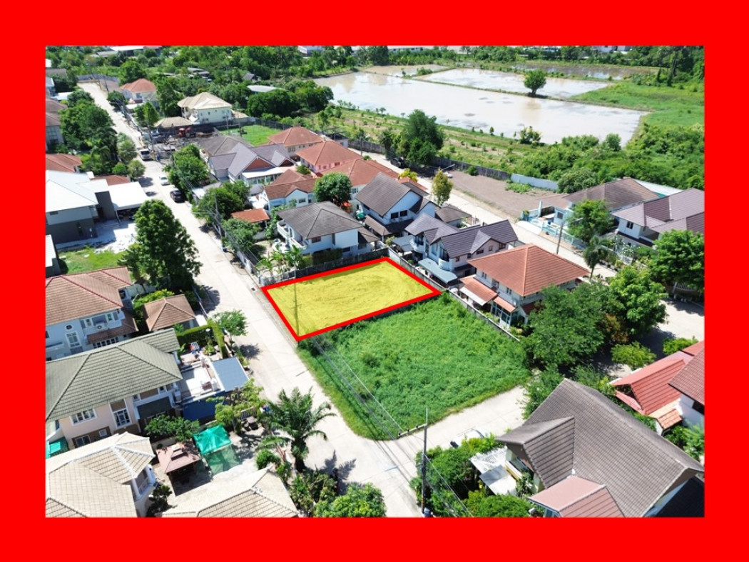 ขายที่ดินปทุมธานี รังสิต ธรรมศาสตร์ : ขาย ที่ดิน หมู่บ้านชวนชื่นฟลอร่าวิลล์ 86 ตรว ถนน 8เมตร ใกล้ถ.สะพานนนทบุรี-บางบัวทองแค่ 2.5 กม. DD