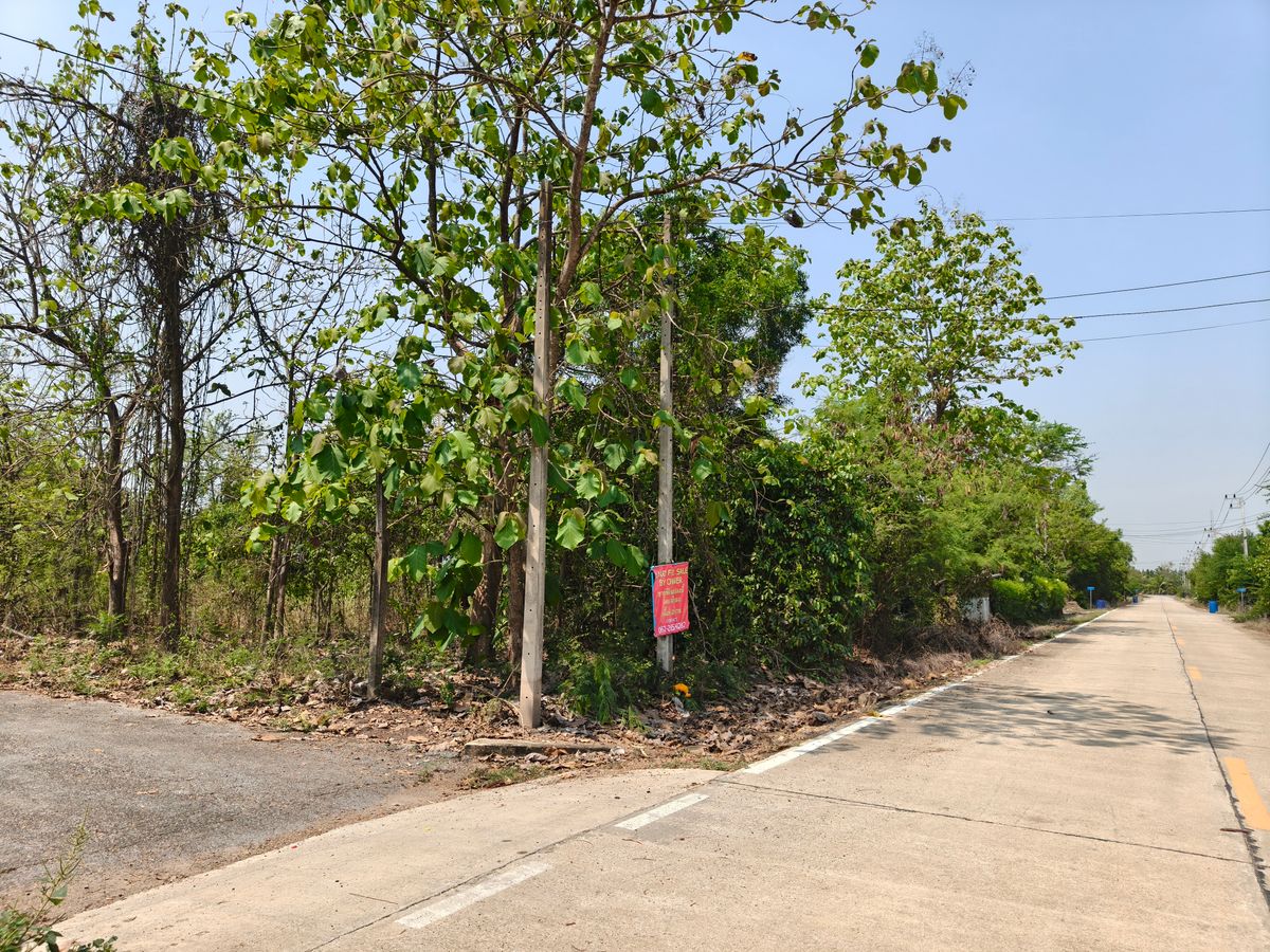 ขายที่ดินปทุมธานี รังสิต ธรรมศาสตร์ : ขายที่ดิน 200ตร.วา โครงการสยามแลนด์ ซ.สยามแลนด์10 คลองเก้า หนองเสือ ปทุมธานี