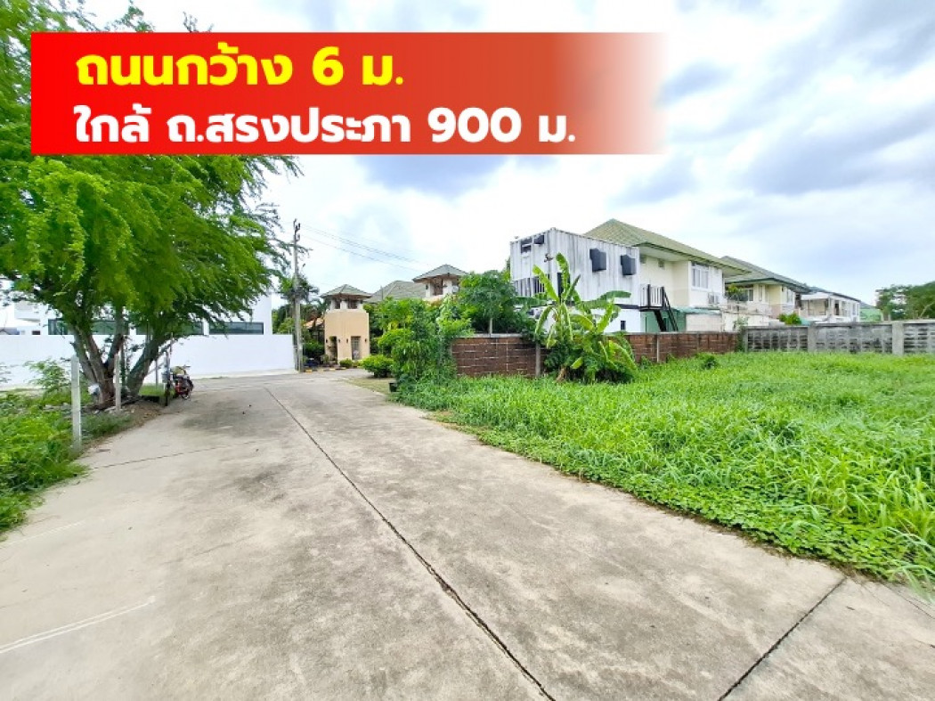 ขายที่ดินวิภาวดี ดอนเมือง หลักสี่ : ขาย ที่ดิน ซอยวัดเวฬุวนาราม 7 ขนาด 86 ตรว ใกล้ถนนสรงประภา 900 ม DD
