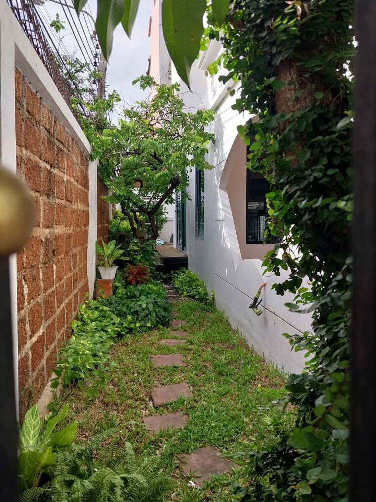 ให้เช่าทาวน์โฮมเลียบทางด่วนรามอินทรา : บ้านกลางเมือง ลาดพร้าว-โยธินพัฒนา แปลงมุม  ให้เช่า 35,000 บาท/เดือน  