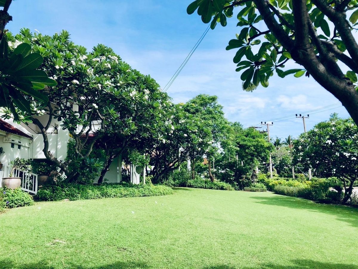 ขายบ้านหัวหิน ประจวบคีรีขันธ์ : 📢👇 หัวหินเป็นเมืองชายทะเลที่สวยงามและเป็นที่นิยมสำหรับวันหยุดพักผ่อน บ้านพักตากอากาศที่นี่ เพื่อนบ้านดี ฮวงจุ้ยดี เป็นตัวเลือกที่ดีสำหรับผู้ที่ต้องการความเป็นส่วนตัว พื้นที่กว้างขวาง และความสะดวกสบาย