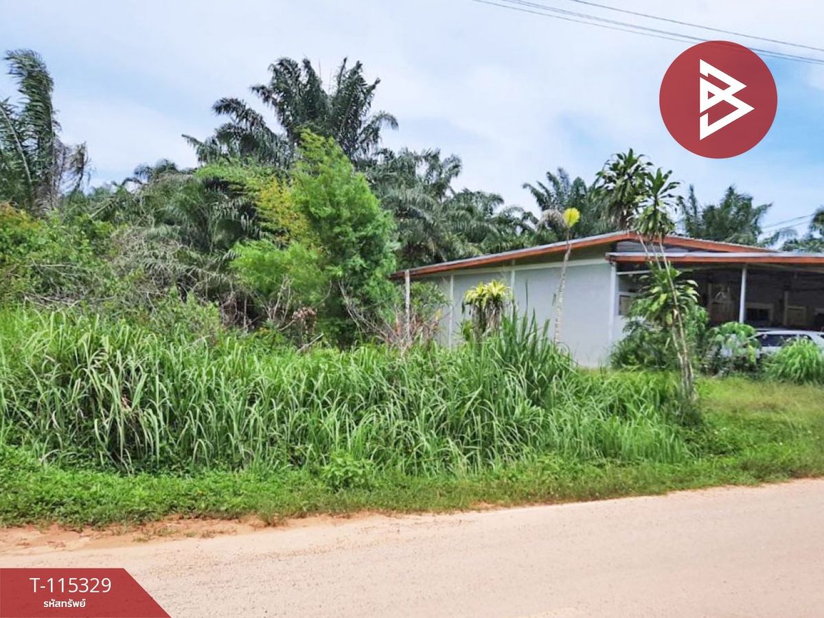 ขายที่ดินกระบี่ : ขายที่ดิน เนื้อที่ 58.2 ตร.วา หนองทะเล กระบี่